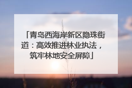 青岛西海岸新区隐珠街道：高效推进林业执法，筑牢林地安全屏障